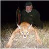 Image 1 : Caracal & Serval With Hounds - A very special double cat hunt in South Africa's Free State!