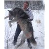 Image 2 : Alberta - Resident Whitetail and Wolf Combo - Blue Sky Outfitting