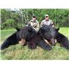 Image 2 : * 3rd Update* Alberta - SHORT NOTICE SUITCASE SPECIAL!!  Resident Spring Trophy Black Bear Hunt