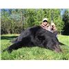 Image 3 : * 3rd Update* Alberta - SHORT NOTICE SUITCASE SPECIAL!!  Resident Spring Trophy Black Bear Hunt
