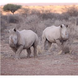 Namibia - Bergzicht Game Lodge – Plains Game Hunt - Experience the African Sun