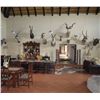 Image 3 : Namibia - Bergzicht Game Lodge – Plains Game Hunt - Experience the African Sun