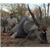 Image 1 : Zimbabwe - Desfountain and Jones – 7 Day Eland Bull Hunt