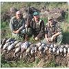 Image 3 : Serbia – Racka Sheep, Roe Deer and Duck Hunt with Touring