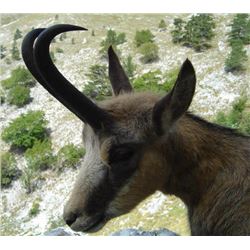 Macedonia – 5 days Hunting for Balkan Chamois with Touring