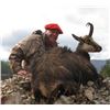 Image 4 : Macedonia – 5 days Hunting for Balkan Chamois with Touring