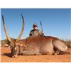 Image 5 : Northern Cape - 6 Days and 5 Trophies, HunterFisher Safaris