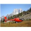 Image 2 : Calgary - Scenic Helicopter Tour for Two with a Picnic on the Peak