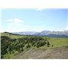 Image 4 : Calgary - Scenic Helicopter Tour for Two with a Picnic on the Peak