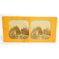 VINTAGE SWISS STUDIO PHOTO STEREOVIEW CARD