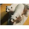 Image 2 : Unite Design Animal Classics “Polar Trio” Decorative Piece