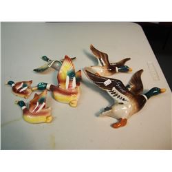 Wall Ornaments Duck (Mallard) (6)