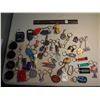 Image 5 : Lapel Pins (56), Lions Pins (18), Collection Key Chains