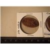 Image 2 : Pressed Pennies, Tiger, Seaworld, Seattle W/ 1oz Copper Bullet
