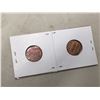 Image 2 : Pair Of Pennies, 1982 D (2 Near And Far From Rim)