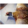 Image 3 : Stuffed Pheasant, Old, Flying