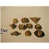 Image 3 : Lot of 10 different Molson’s Beer Lapel Pins