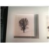 Image 2 : Modern Window Box Trees Photos Picture Framed, 28”x12”