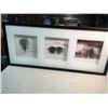 Image 6 : Modern Window Box Trees Photos Picture Framed, 28”x12”