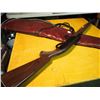 Image 6 : 22 Cal Remington Semi Automatic, Plastic Body