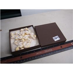 Vintage Shell Necklace