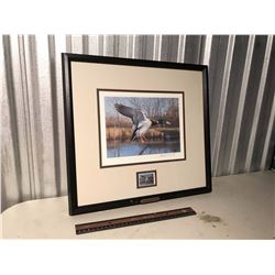 Framed Ducks Unlimited Stamp And Print With Certificate Of Authenticity