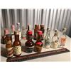 Image 1 : Misc Alcohol Mini Bottles (14)