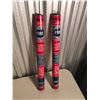 Image 2 : Liberty Dry-Chemical Fire Extinguishers (2)