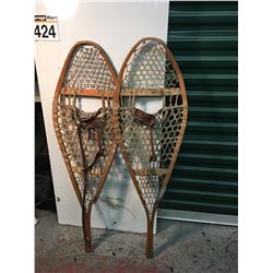 Pair Of Snow Shoes