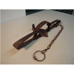 Animal Trap (Niagra Falls)