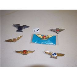 Assorted Winged Pins (6)