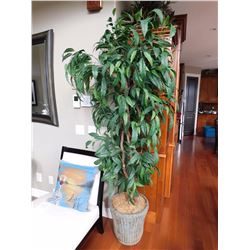 Decorative Artificial Tree (80" Tall)