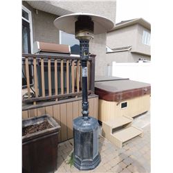 Napoleon Propane Patio Heater (Some Minor Hail Damage)