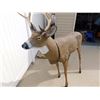 Image 2 : Deer Decoy (58" Long)