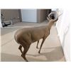 Image 3 : Deer Decoy (58" Long)