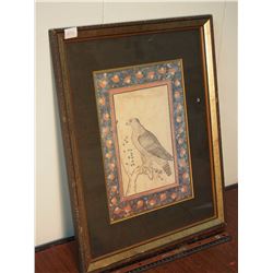 Framed Print "Hawk"