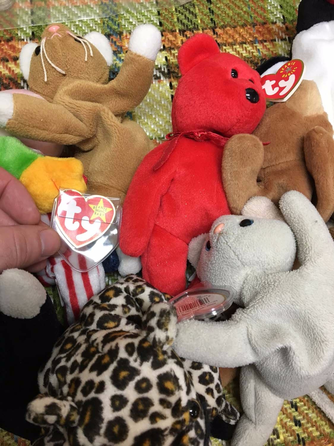 Lot Beanie Babies Bodnarus Auctioneering