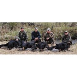 ALBERTA SPRING BEAR/WOLF/COYOTE HUNT