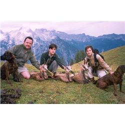 5 Day Spain Hunt for One Hunter & One Non-Hunter