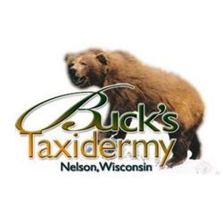 $500 TAXIDERMY CERTIFICATE