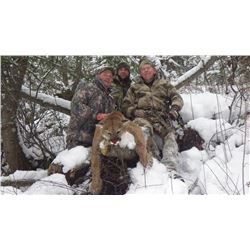 Mountain Lion Hunt