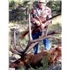 Image 2 : Drop Camp Elk Hunt