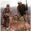 Image 1 : Aoudad Hunt