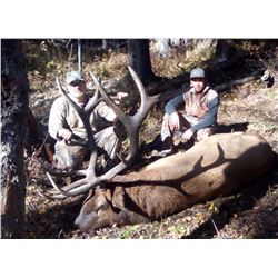 7 day hunt - Elk/Deer and Moose