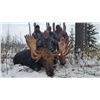 Image 2 : 7 day hunt - Elk/Deer and Moose