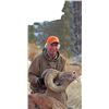 Image 1 : 2016 SOUTH DAKOTA BIGHORN SHEEP TAG