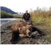 Image 1 : 10 DAY 1 PERSON ALASKA BROWN BEAR HUNT