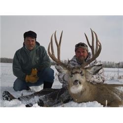 TROPHY MULE DEER HUNT IN CENTRAL ALBERTA