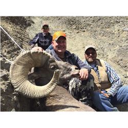 2017 WYOMING GOVERNOR’S ROCKY MOUNTAIN BIGHORN SHEEP LICENSE