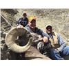 Image 2 : 2017 WYOMING GOVERNOR’S ROCKY MOUNTAIN BIGHORN SHEEP LICENSE